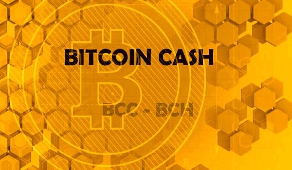 BTC и BCH могут разделить рынок между собой